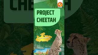 Project Cheetah shorts [upl. by Walker]