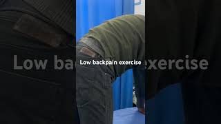 Low back pain exercises backpain cervicalpain reels trending shots viralvideo love ma gym [upl. by Ahsiea]