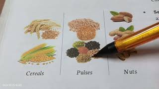 class 3 Science Ch6 Food from Plants Explanation in Hindi meenakshi [upl. by Prem]