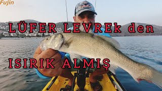 levrek mirmir avı 15bölüm ÜÇÜ BİR ARADA fujinle devam ediyor [upl. by Ilyak]