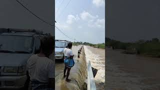 Muddenahalli jayamangali river water flow jayamangali jayamangali karnatakaborder dalwatam [upl. by Emmerich]