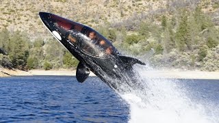 10 Coolest Billionaire Water Toys [upl. by Yenahpets]