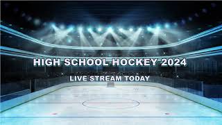 Springboro vs Worthington Kilbourne  High School Ice Hockey LIVE [upl. by Hippel]