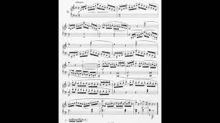 some obscured Aloys Schmitts etudes [upl. by Suiradel]