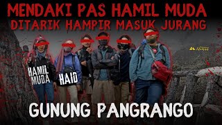 NGERI Kisah Mistis Nur Hanifah Nekat Mendaki Gunung Gede Pangrango Kondisi Hamil Muda [upl. by Atires]