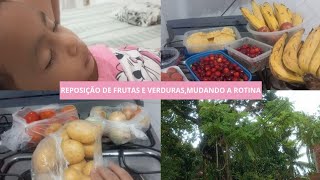 REPOSIÇÃO DE FRUTAS E VERDURAS PARA SEMANAROTINA DO SONO BATENDO PAPO [upl. by Yartnod]