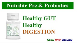 Maximize Your Gut Health Nutrilite Pre amp Probiotics Review [upl. by Trudie]