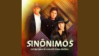 Chitãozinho amp Xororó Ana Castela  Sinônimos  Tema da Novela Terra e Paixão [upl. by Gwynne396]