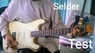 Stratocaster test Selder [upl. by Auqeenwahs]