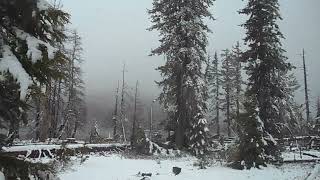 Breitenbush Lake Campground [upl. by Curley747]