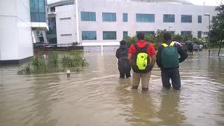 Chennai flood 2015 December  Sholinganallur Office Campus  சென்னை [upl. by Dnarb]