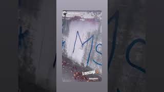 MS13 Invade Queens Ny migrant gangs 2024 [upl. by Eatnom]