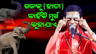 ଗଜକୁହାତୀ କାହିଁକି ମୂର୍ଖ କୁହାଯାଏ Hati ku kahiki murkha kuhajae [upl. by Avahc]