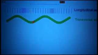 ondas transversales vs longitudinales [upl. by Janus]