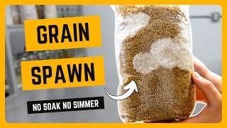 How to make grain spawn using the instant pot [upl. by Ulysses]