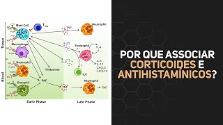 Por que associar corticoides e antihistamínicos Entendatamínico [upl. by Bernt512]