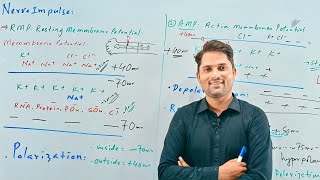 Nerve Impulse Nerve conductionNervous coordination STB NCERT FTB PTBHindi UrduProSuresh Kumar [upl. by Ynaffi]