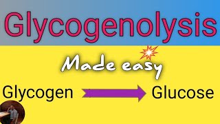 Glycogenolysis Pathway in Biochemistry ll Definition ll Site ll Significance ll Regulation [upl. by Ahtera793]