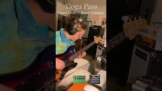 Yussef Dayes ft Rocco Palladino  Tioga Pass Bass Solo Transcription [upl. by Lirbij489]