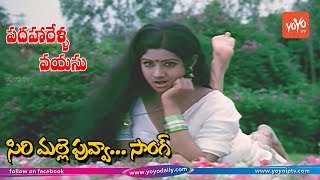 Sirimalle Puvva Video Song HD  Padaharella Vayasu Movie Songs  Sridevi  YOYO TV Music [upl. by Egidio]