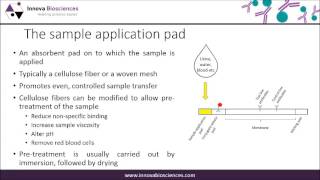 Lateral Flow Webinar A Guide to Lateral Flow Immunoassay Development [upl. by Aticilef]