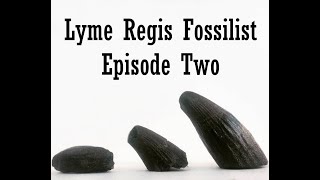 Fossil Hunting at Lyme Regis 2021 Episode 2 [upl. by Attenyl]