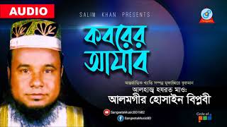 Maulana Alamgir Hossain Biplobi  Koborer Ajab  Audio [upl. by Airec]