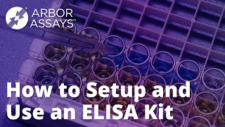 How to Setup and Use An ELISA Kit  Arbor Assays [upl. by Teilo]