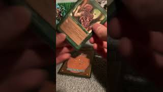 Opening a Magic the Gathering Homelands Pack 1995 [upl. by Nuj]