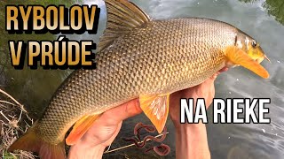 Lov Riečnych Rýb na Červy 🪱🐋 Jarný Feeder v prúde na rieke řece Váh 🎣 rybolov s Demexom [upl. by Erdied]