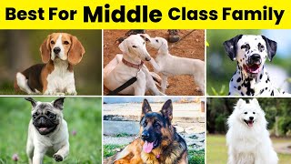 Best Dog Breeds For Middle Class Family  Best Dog Breeds For Family 🐶 [upl. by Crudden531]