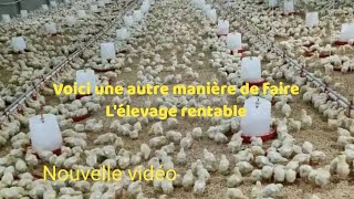 Une autre manière très rentable de faire lélevage de poulets [upl. by Ahsemo]