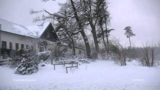 Schneesturm Anninger 04012015 snow storm [upl. by Michale543]