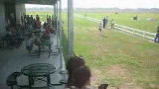 Saturday at a skydiving facility in Rosharon Texas [upl. by Barrada]