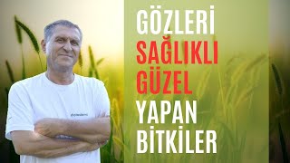 GÃ–ZE ve GÃ–ZLERE Ä°YÄ° GELEN BESÄ°NLER GÃ–ZE EN Ä°YÄ° GELEN BÄ°TKÄ° VÄ°TAMÄ°NLER MEYVELER [upl. by Aihtnyc]