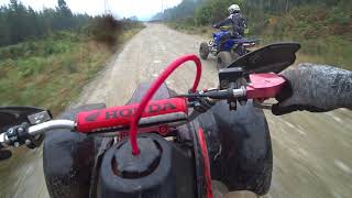 trx250r big bores ripping on wa trails [upl. by Rakso]