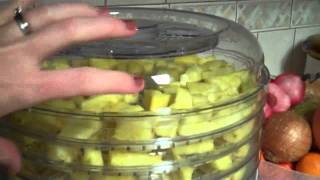 How to Dehydrate Pineapple at Home [upl. by Wanids892]