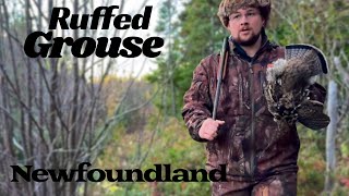 Ruffed Grouse Hunting  Catch amp Cook  Simple amp Delicious Recipe [upl. by Eityak420]