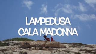 LAMPEDUSA CALA MADONNA PESCI SULLA RIVAFISHES IN THE RIVER [upl. by Babbie534]