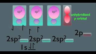 Sp2 Hybridization Organic Chemistry [upl. by Nolyd]