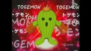 Palmon digivolve to Togemon [upl. by Akemad]