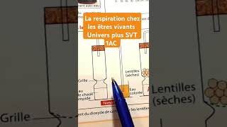 La respiration chez les êtres vivants Univers plus SVT 1AC [upl. by Nasus]