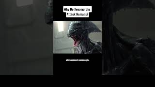 Why do xenon orphans attack humans movie alien [upl. by Onitnatsnoc450]