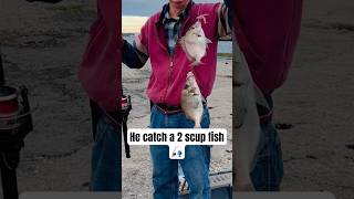 Shorts Catch a Scup Fish fish fishing catchingfish saltwater fishingvideo scupfish [upl. by Ynor]