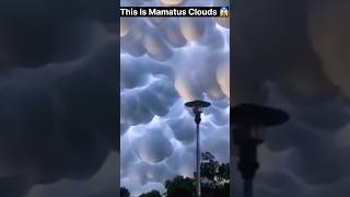 Dengarus Mamatus Clouds 😱 shorts facts cloud amazingfacts clouds [upl. by Secor]