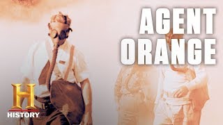 What Is Agent Orange  History [upl. by Alleinad586]