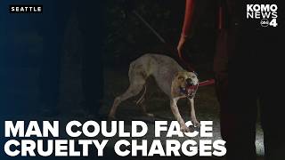 Neglected and starved dogs attack man in Northgate owner may face cruelty charges [upl. by Arayc]