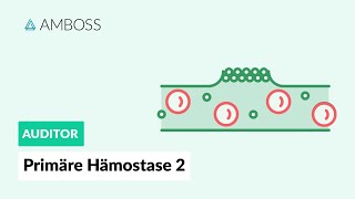 Primäre Hämostase  Teil 2  Physiologie und Medikamente  AMBOSS Auditor [upl. by Attiuqal]