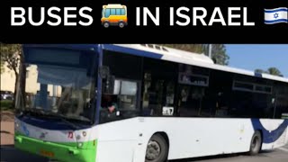 BUS IN ISRAEL IS AMAZING [upl. by Assirk]