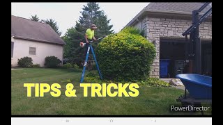 My Tips For Better Hedges  Hedge Trimming Is An Art lawncare hedgetrimming toroeeyewear [upl. by Nadia]